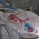 View album View album