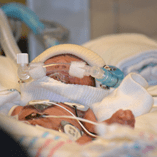 View album View album