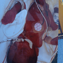 View album View album